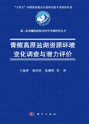 青藏高原盐湖资源环境变化调查与潜力评价