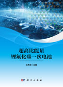 超高比能量锂氟化碳一次电池