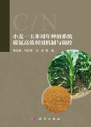 小麦—玉米周年种植系统碳氮高效利用机制与调控