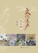 文化遗产微生物