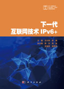 下一代互联网技术IPv6+
