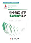 碳中和目标下多能融合战略