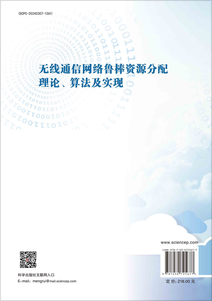 无线通信网络鲁棒资源分配理论、算法及实现