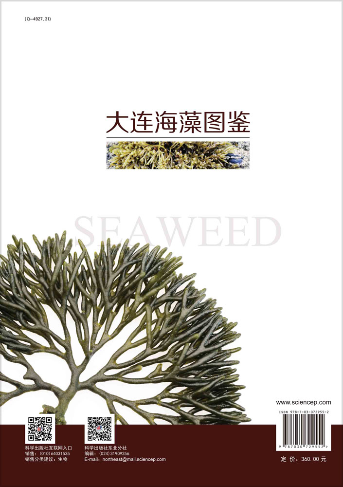 大连海藻图鉴