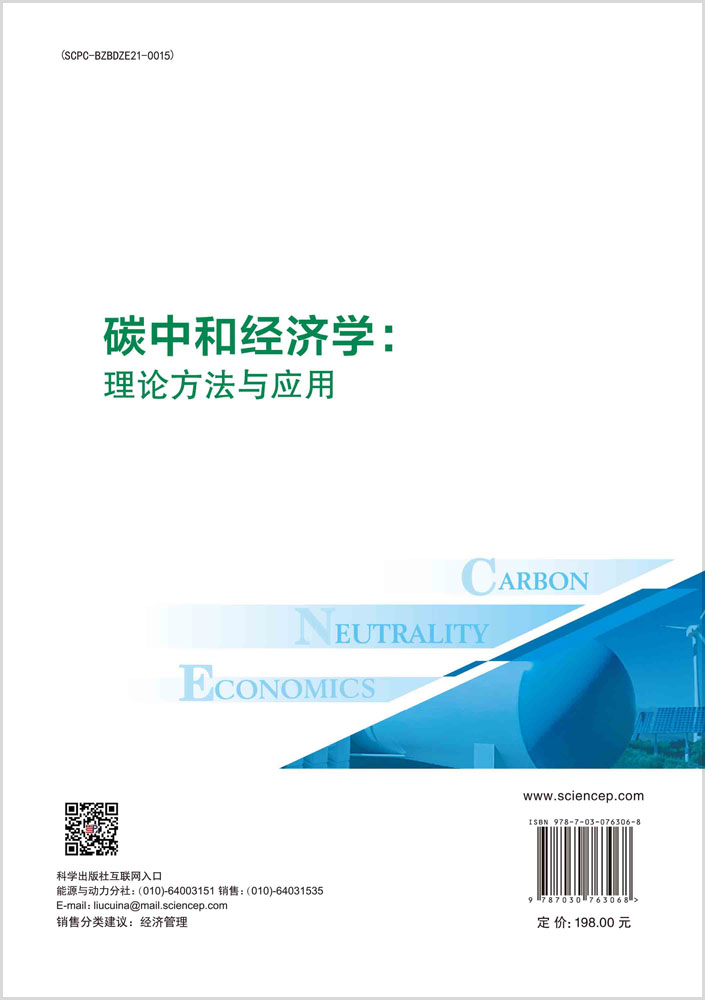 碳中和经济学：理论方法与应用