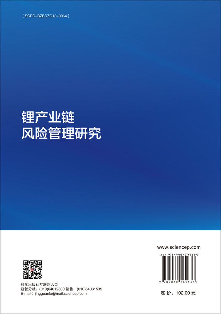 锂产业链风险管理研究