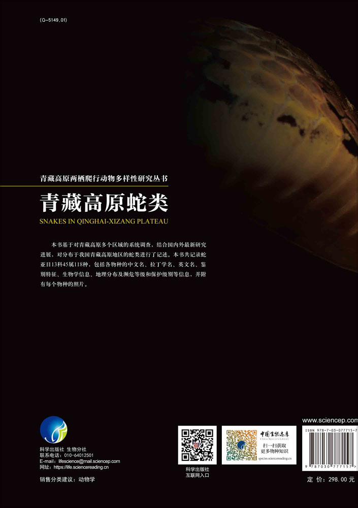 青藏高原蛇类