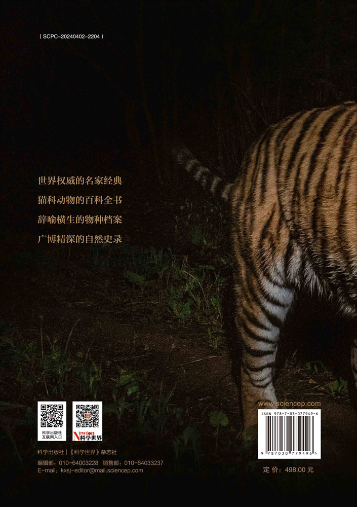 世界猫科动物