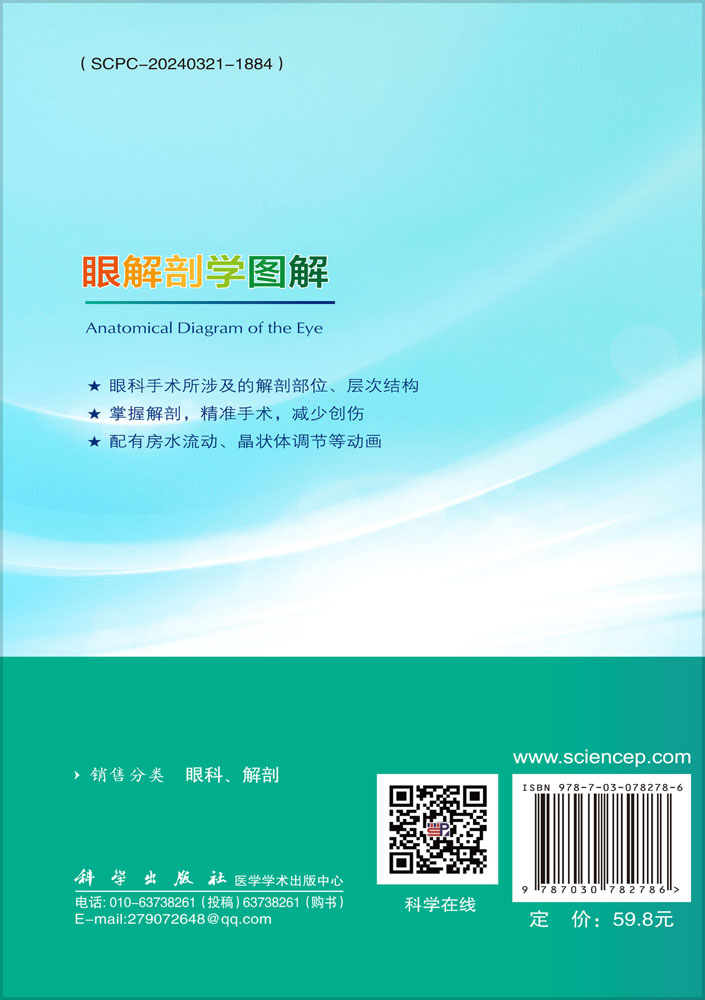 眼解剖学图解