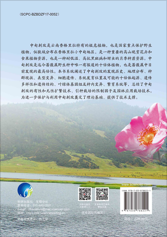 中甸刺玫资源研究与利用