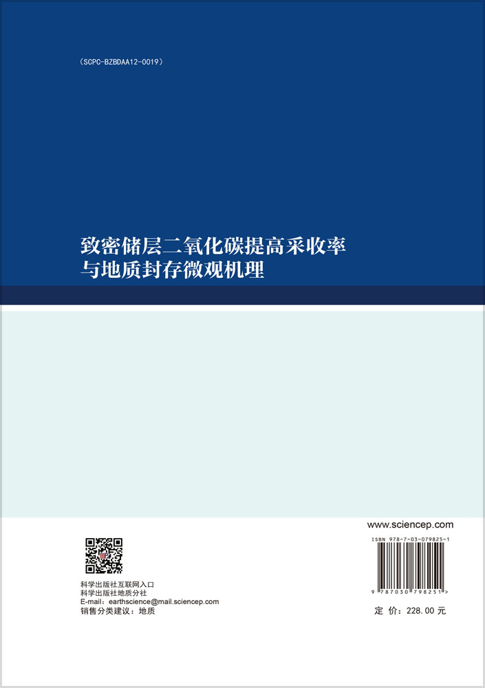 致密储层二氧化碳提高采收率与地质封存微观机理
