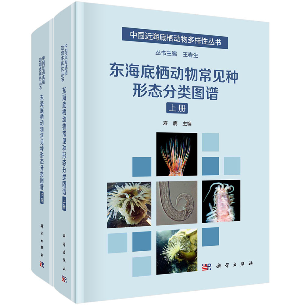 东海底栖动物常见种形态分类图谱：全2册