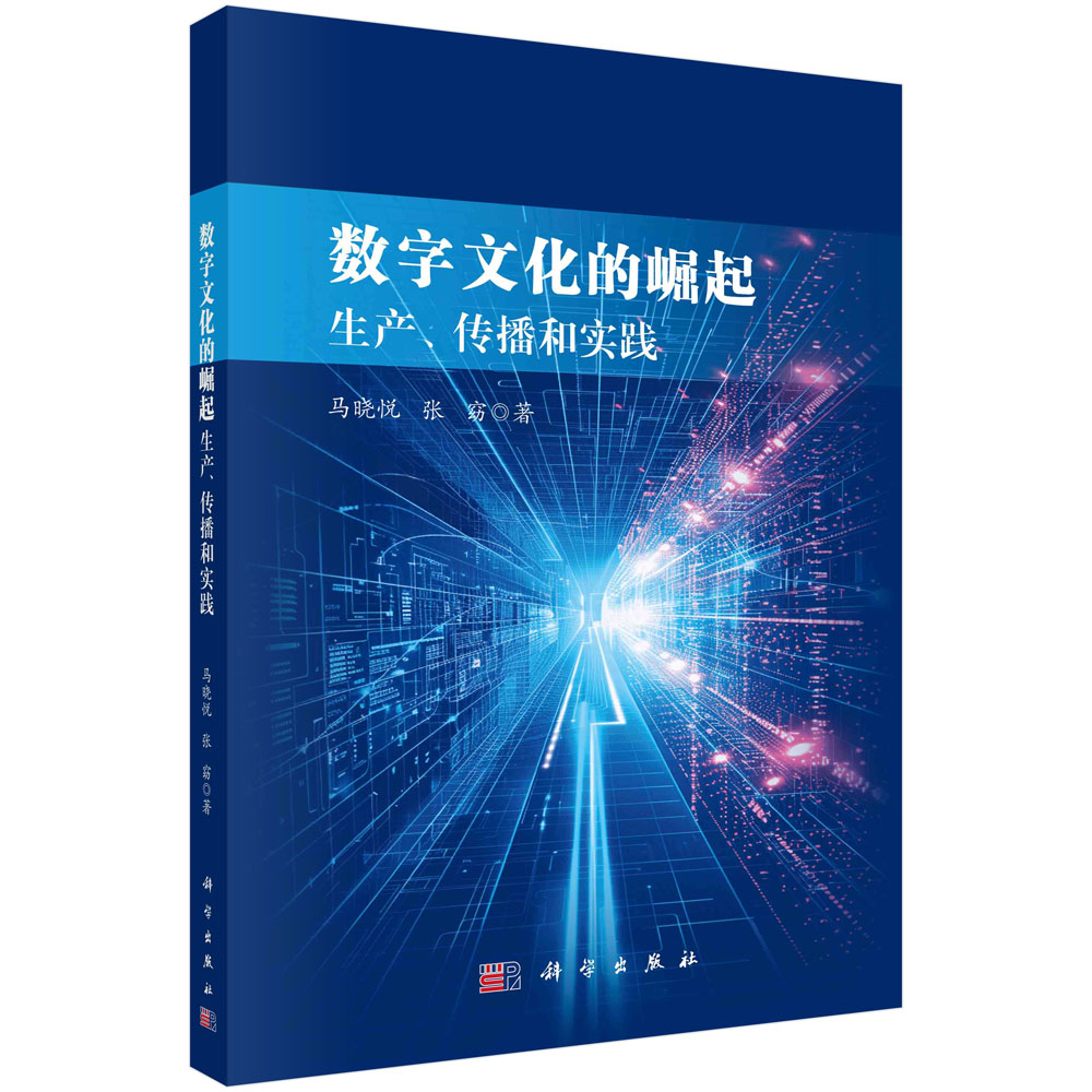 数字文化的崛起：生产、传播与实践