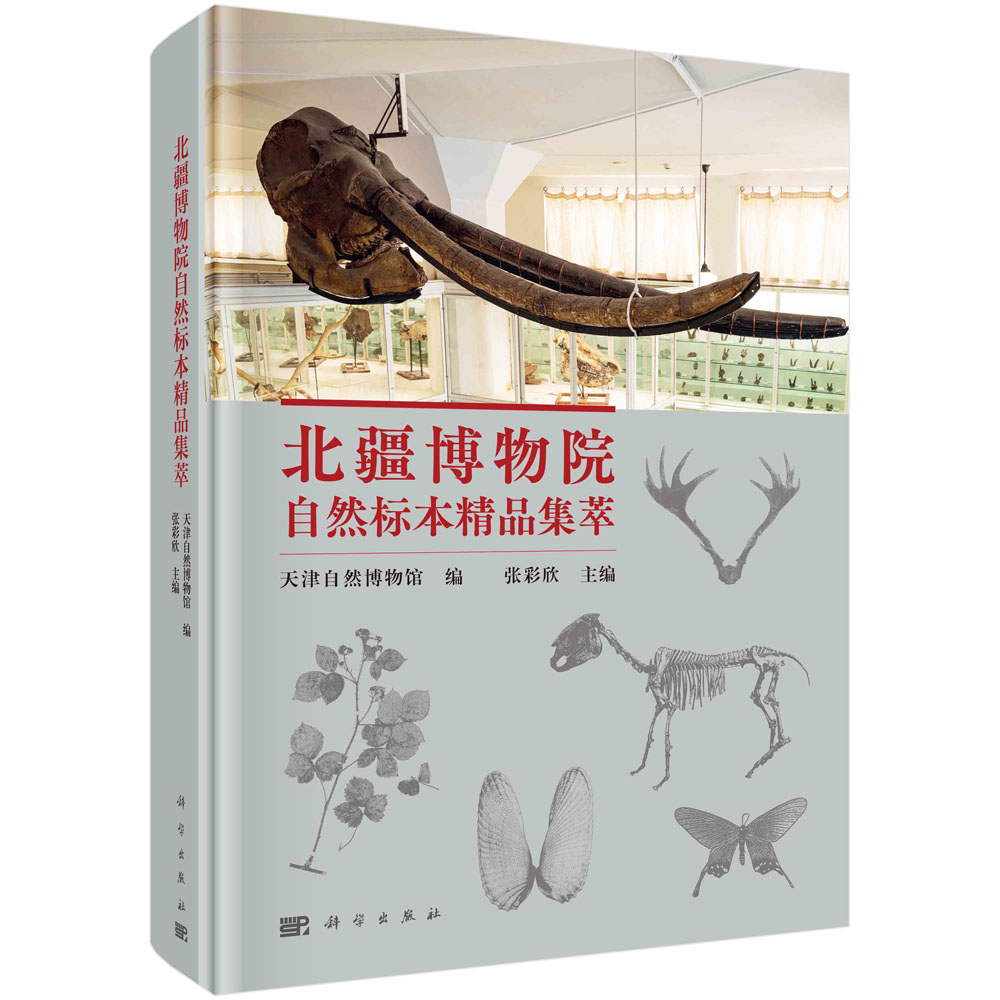 北疆博物院自然标本精品集萃