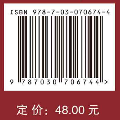 电子政务（数字政府）（第三版）