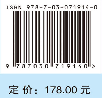 智慧社会的顶层设计与实现路径研究