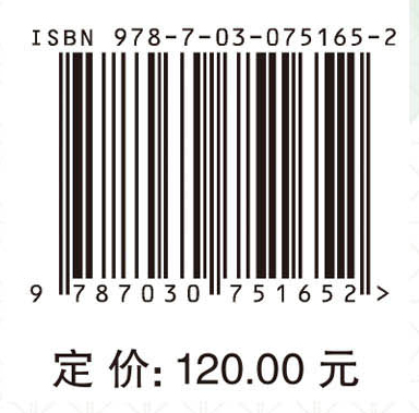 电力系统广域电压稳定分析与控制