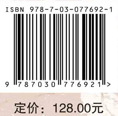 中国氐羌造物艺术研究