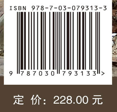 南海Ⅰ号发现与研究国际学术研讨会论文集