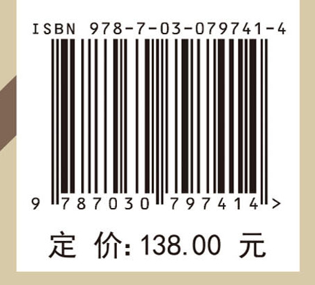 土质堤坝隐患探测与安全评价