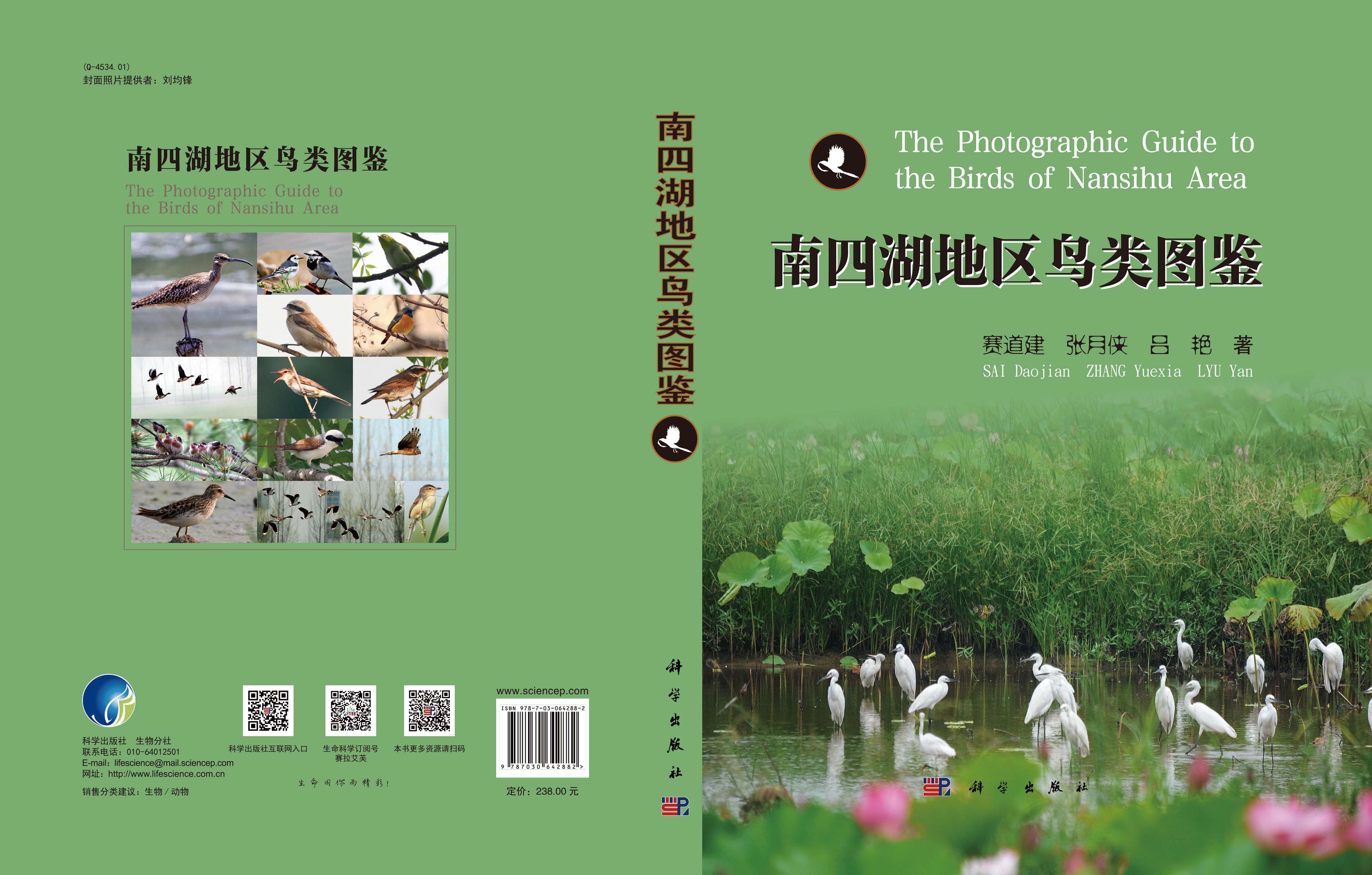 南四湖地区鸟类图鉴