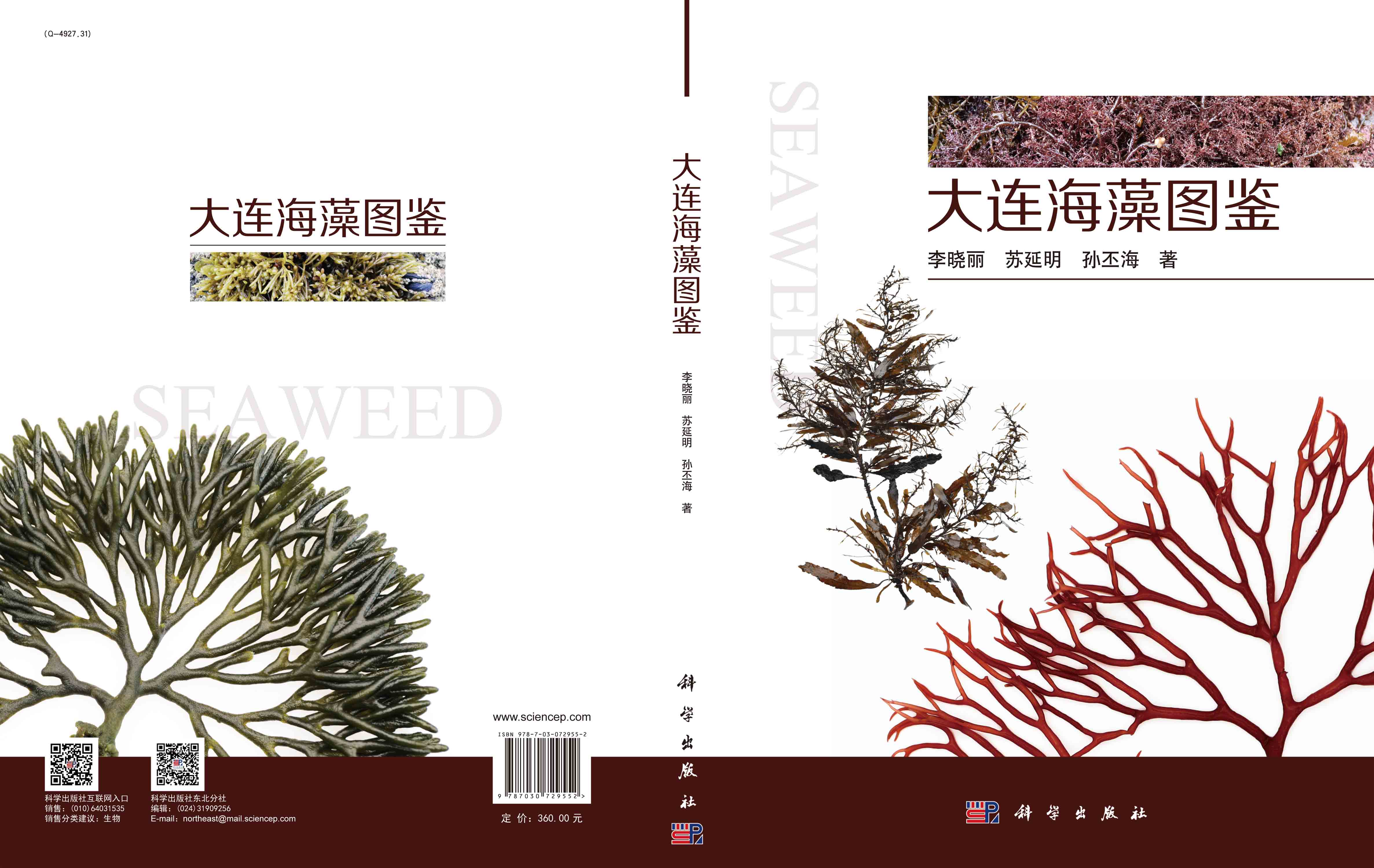 大连海藻图鉴