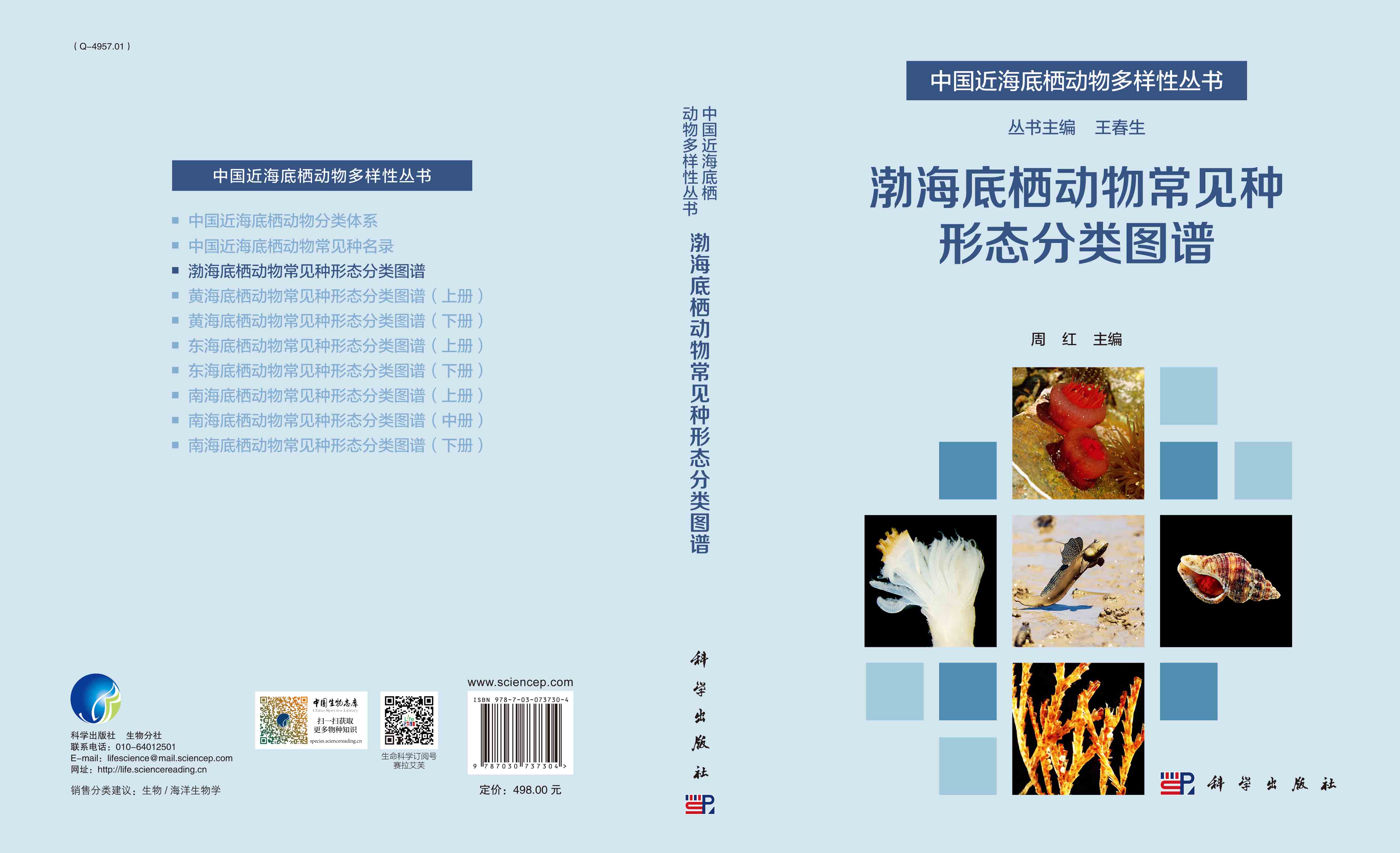 渤海底栖动物常见种形态分类图谱