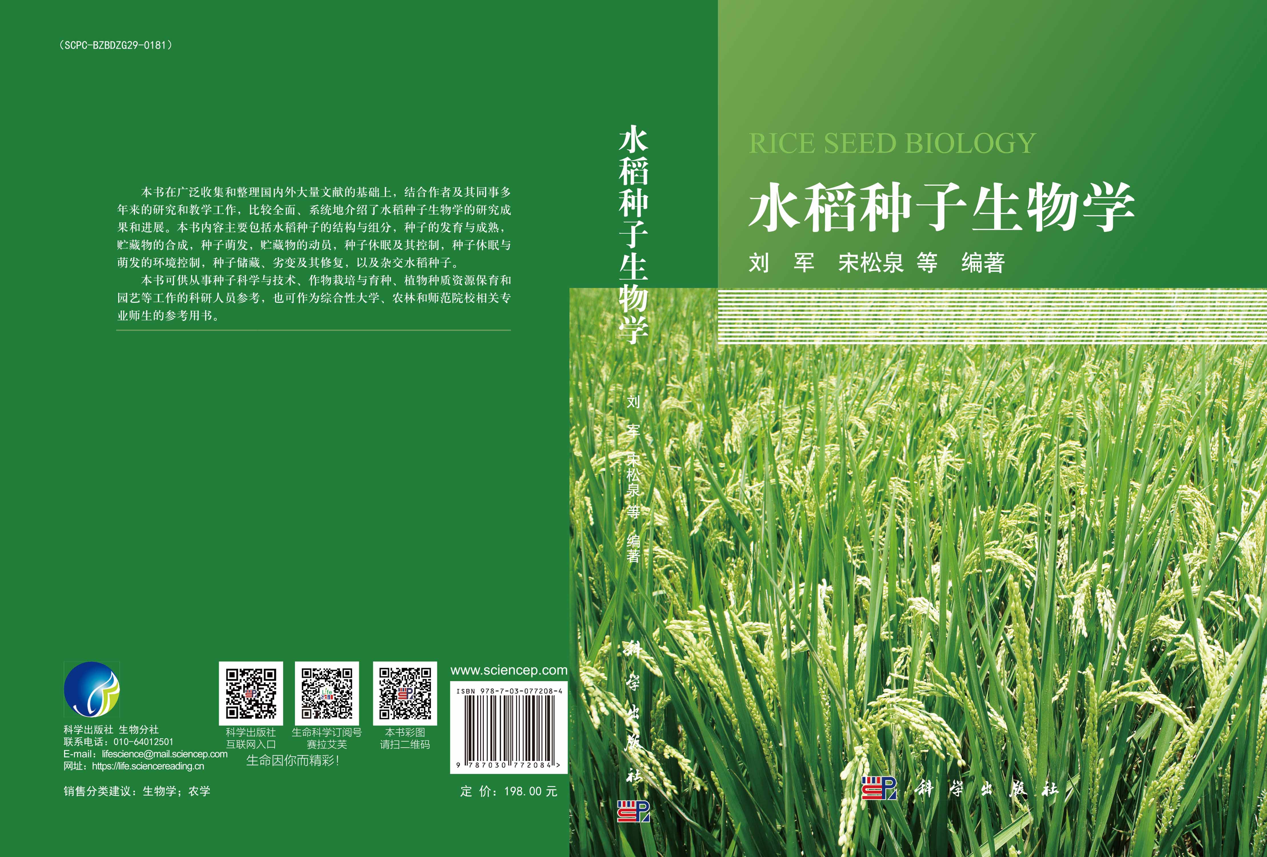 水稻种子生物学