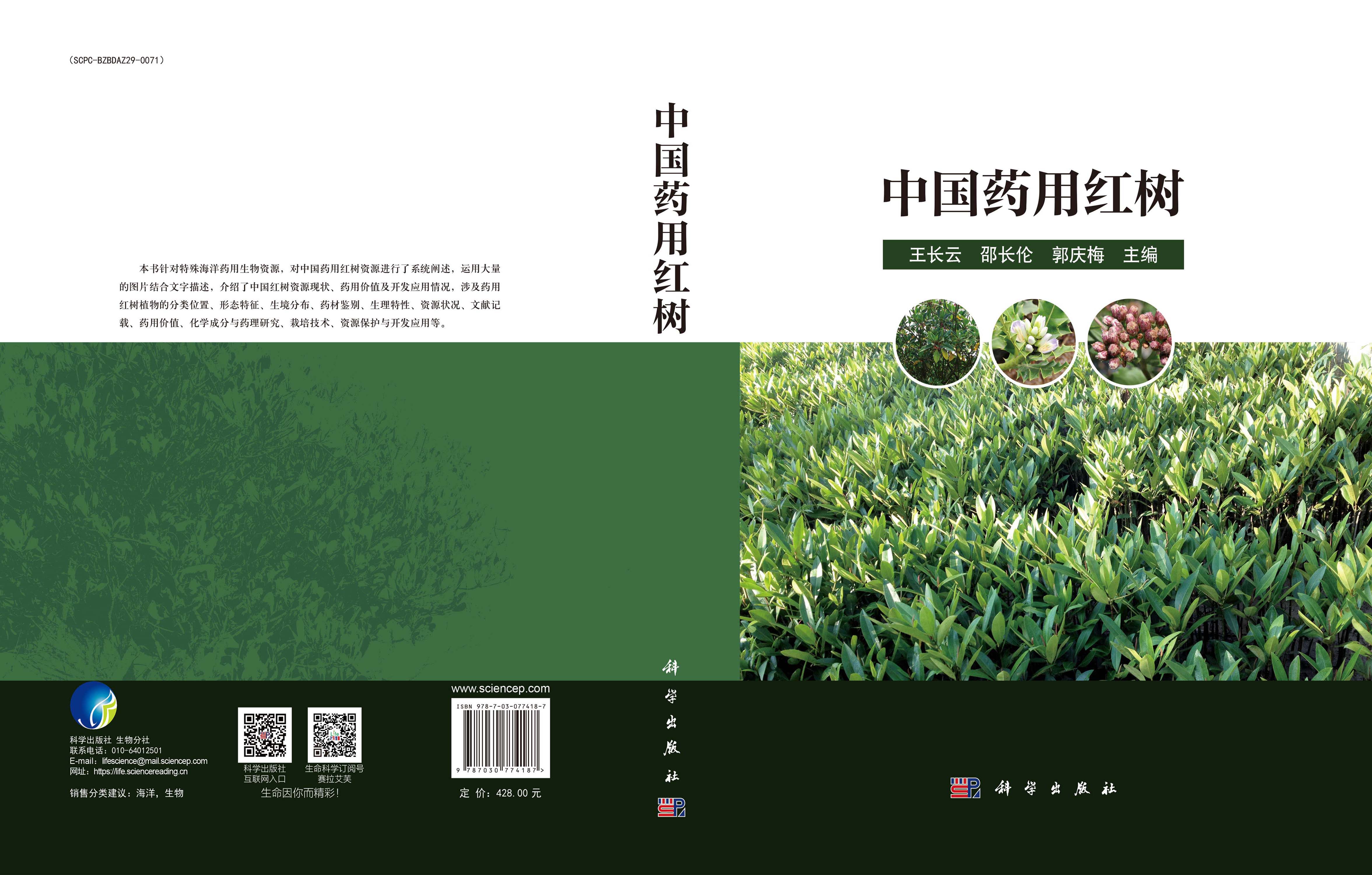 中国药用红树