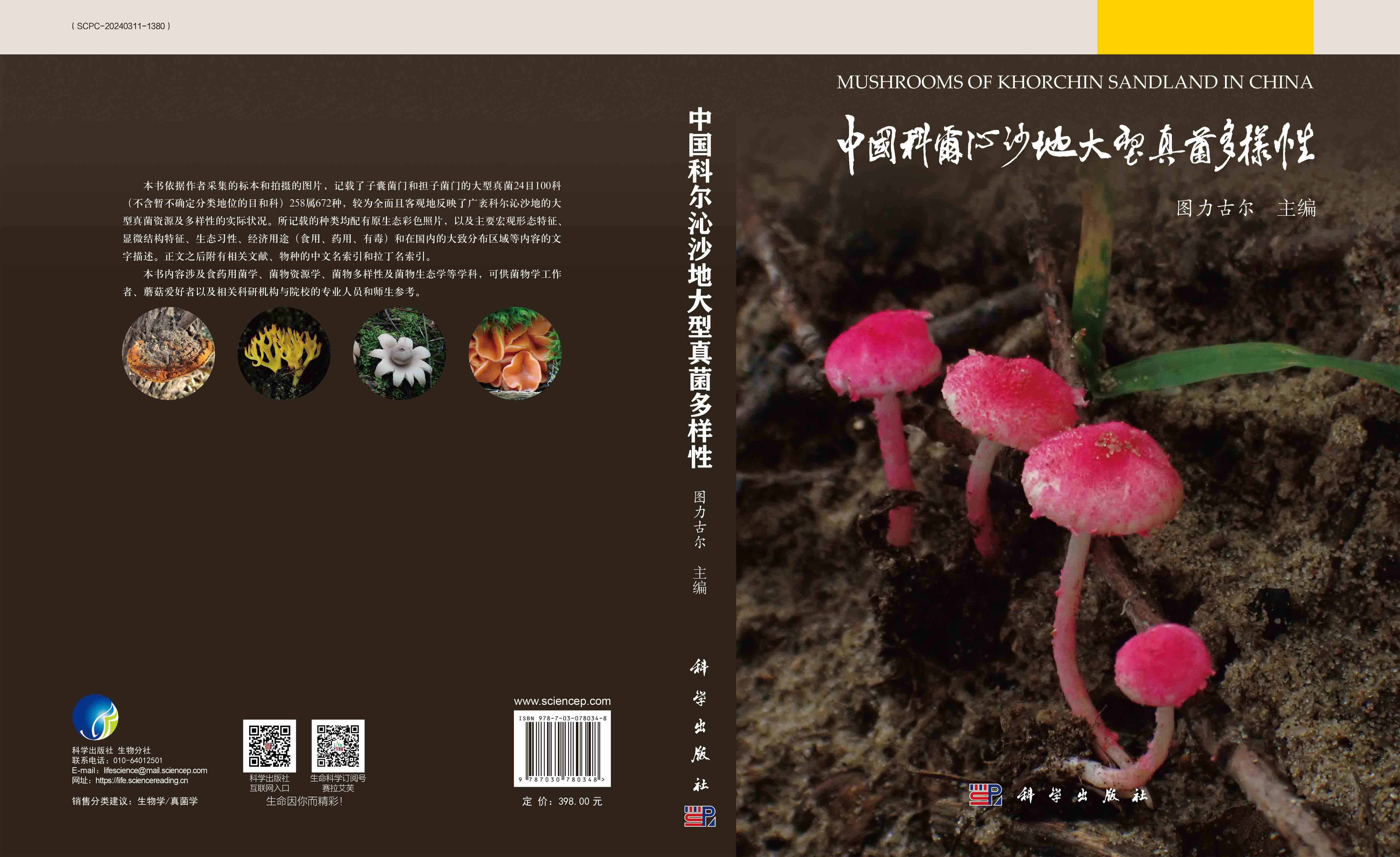 中国科尔沁沙地大型真菌多样性