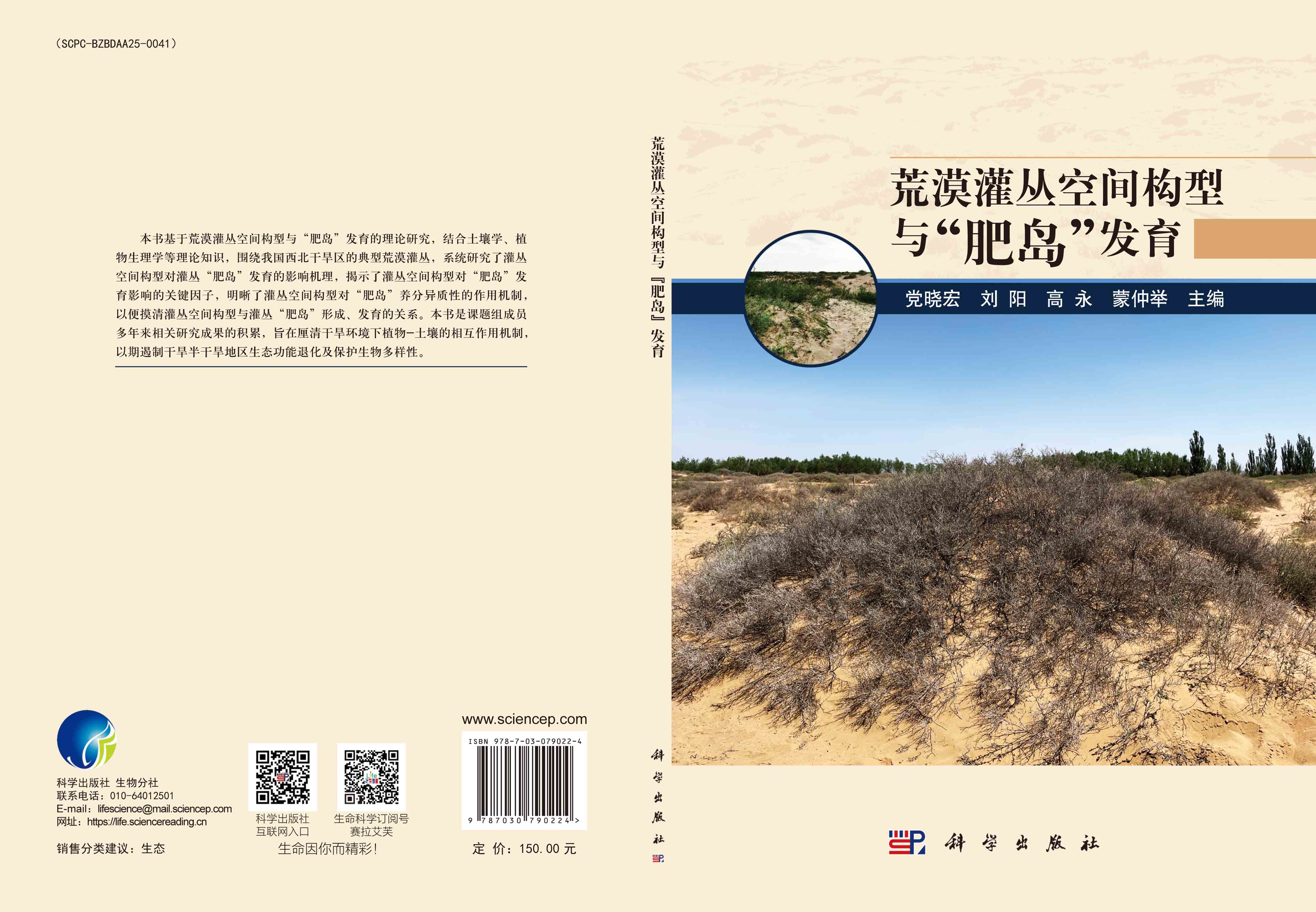 荒漠灌丛空间构型与“肥岛”发育