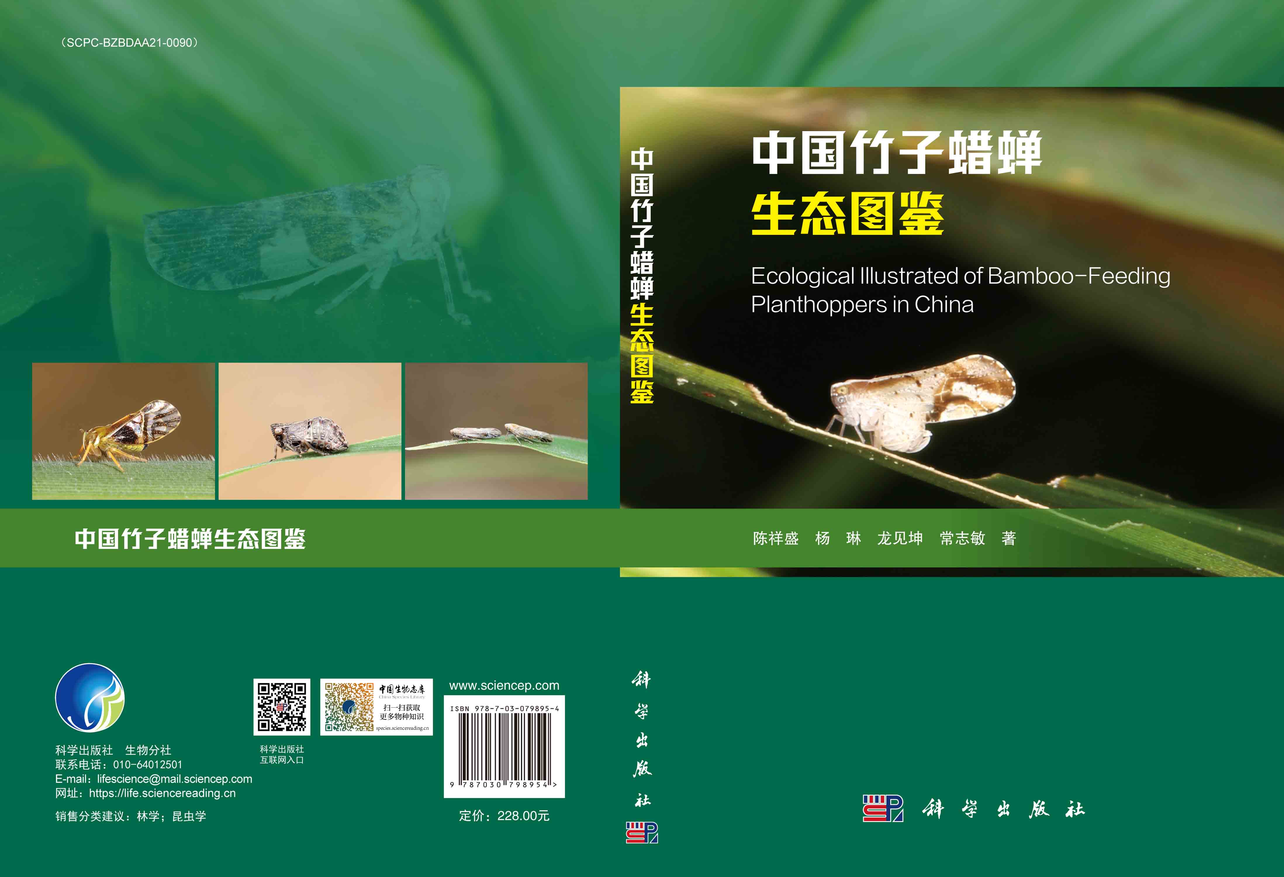 中国竹子蜡蝉生态图鉴