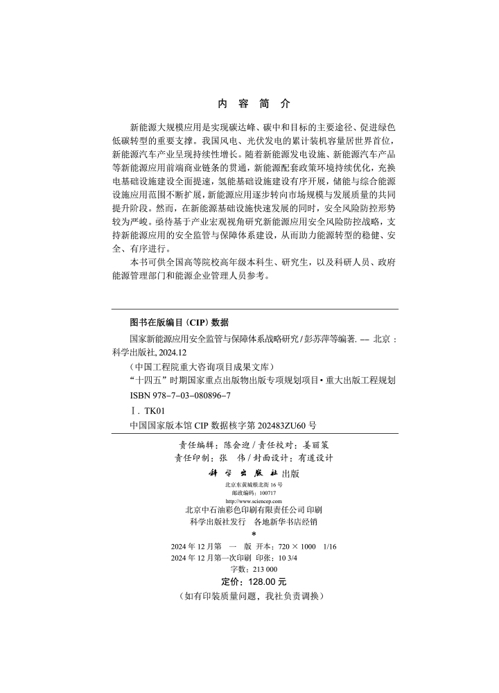 国家新能源应用安全监管与保障体系战略研究