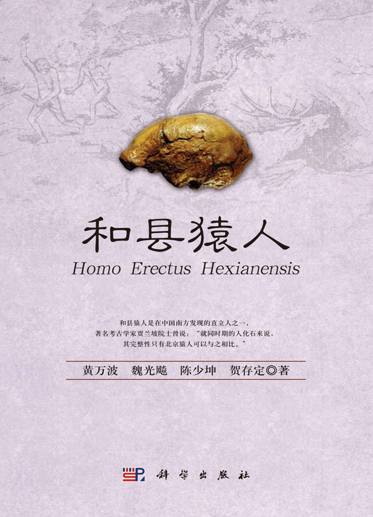 和县猿人