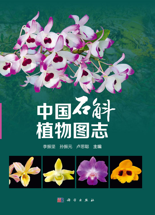 中国石斛植物图志