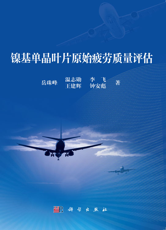 镍基单晶叶片原始疲劳质量评估