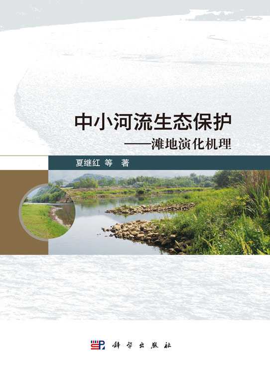 中小河流生态保护——滩地演化机理