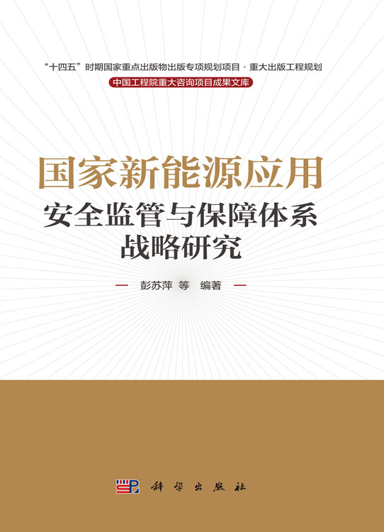 国家新能源应用安全监管与保障体系战略研究