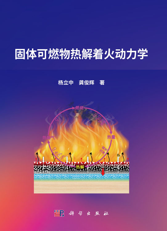 固体可燃物热解着火动力学