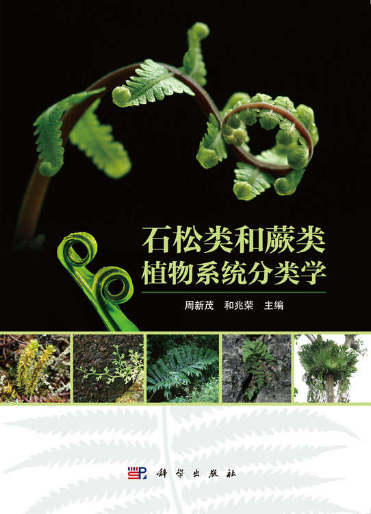 石松类和蕨类植物系统分类学