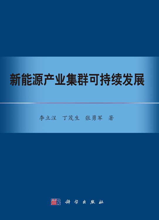 新能源产业集群可持续发展