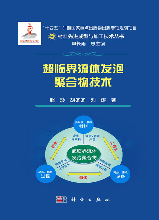 超临界流体发泡聚合物技术