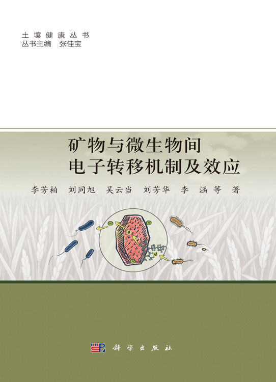 矿物与微生物间电子转移机制及效应