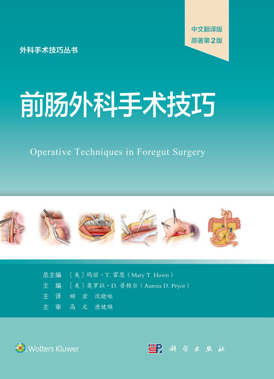 前肠外科手术技巧（原著第2版）