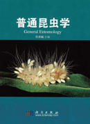 普通昆虫学