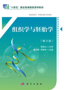 组织学与胚胎学（第三版）