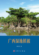 广西湿地植被
