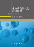 生物质高温气化技术原理
