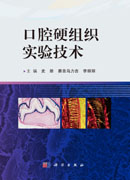 口腔硬组织实验技术