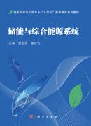 储能与综合能源系统